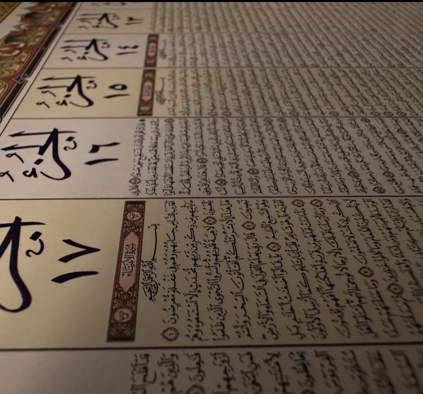 Screenshot 2026-01-17 at 1.22.44 PM